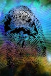 digital id fingerprint