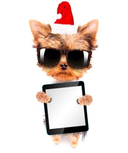 canstockphoto22555290